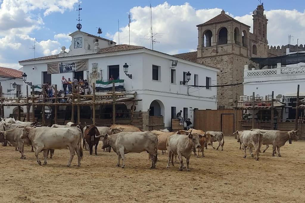 El Zarzal De Segura Villa Segura de León Kültér fotó